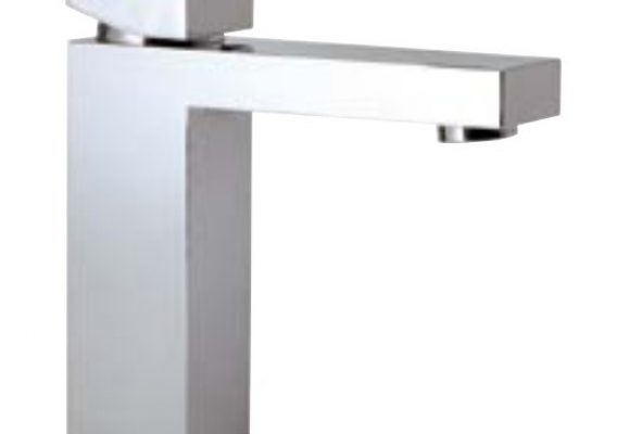 Basin Mono